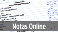 Notas Online